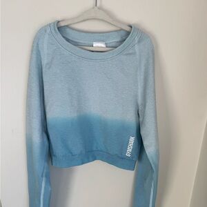 Gymshark Ombré Blue Seamless Crop Long Sleeve Size Small